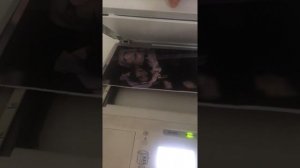 how to use usb print and scan on Canon ir1133