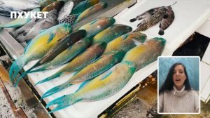 Где лучше отдыхать, в Пхукете или в Паттайе? | Обзор курортов и отелей Таиланда