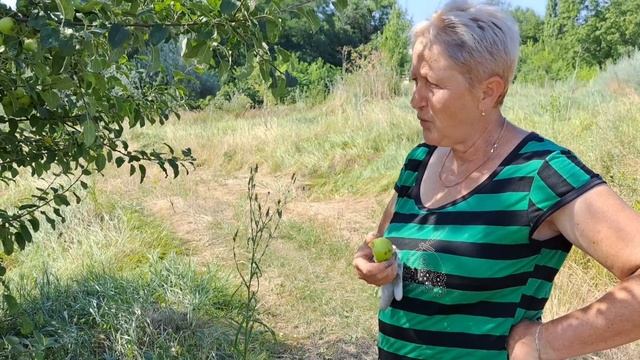 К зиме почти готовы ! смотреть онлайн