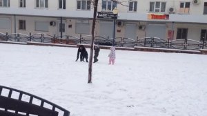 Зима в Новороссийске 15.02.2017