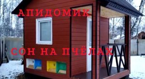 Апидомик. Сон на пчелах своими руками.