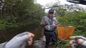 В поисках дикой форели