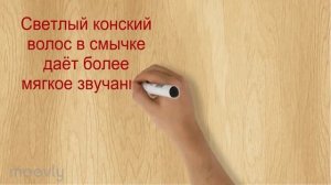 7 фактов о скрипке