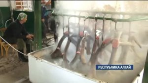 Сюжет «ПАНТОВЫЕ ВАННЫ» 28.05.15 (16+)