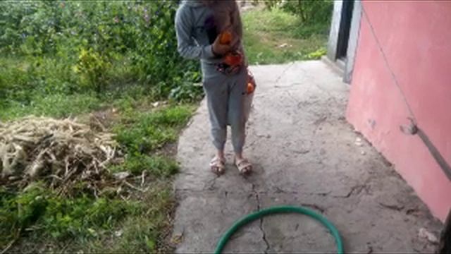 Казацкое 14-17.08.2022 смотреть онлайн