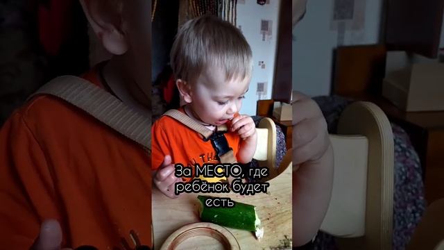 Как избежать проблем с прикормом и РПП? #прикорм #первыйприкорм #малыш #мамавдекрете #гв #мамаблог