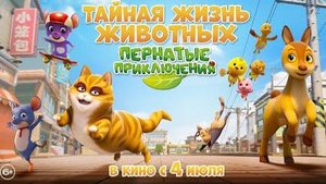 Тайная жизнь животных: Пернатые приключения - KATURI the Movie: The Big City Adventure
