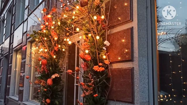 Наталья Фальконе.Про копчик,желудок и другие личные проблемы на весь белый свет.Поговорить не с кем