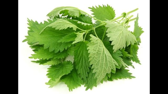 ПОЛЬЗА КРАПИВЫ ? смотреть онлайн