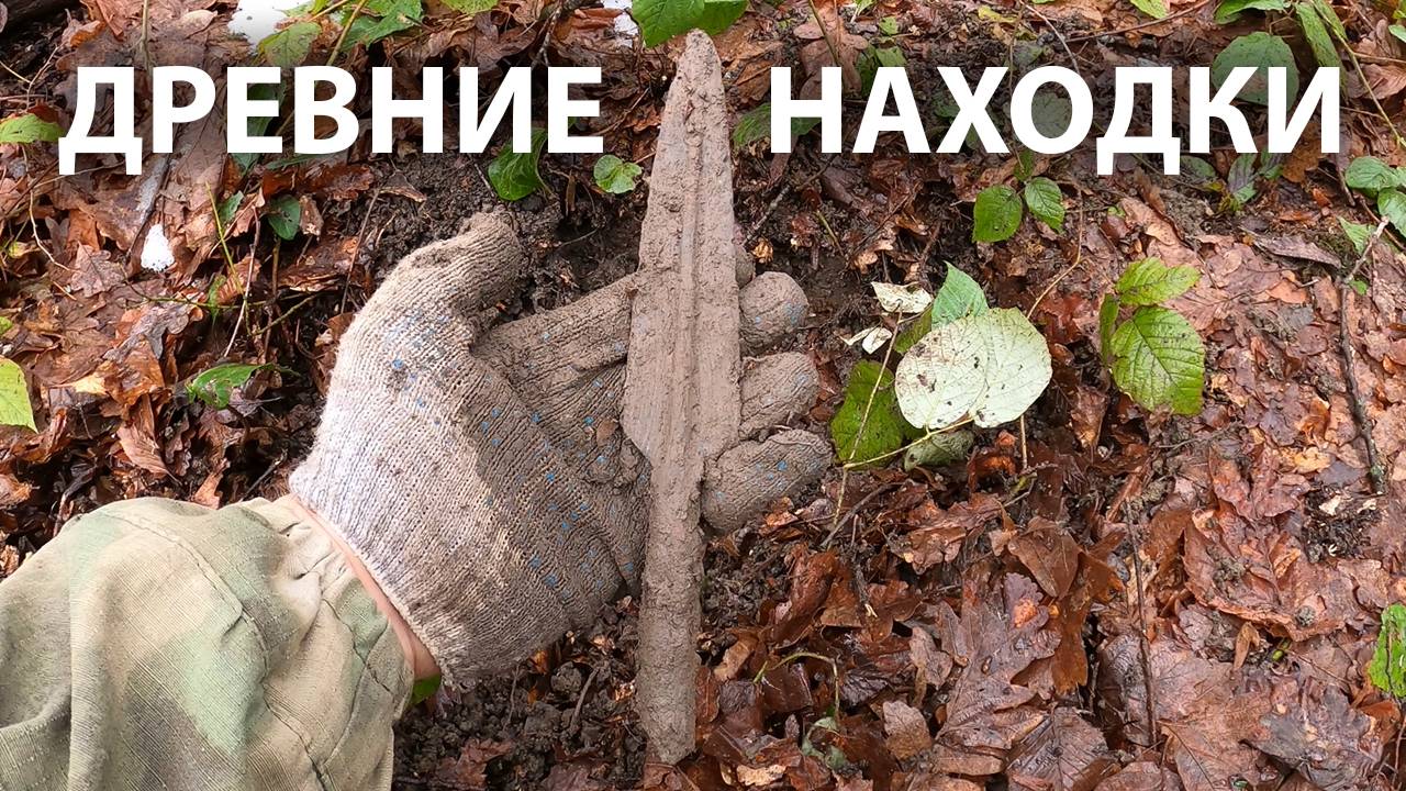 Шок, я это нашёл в лесу