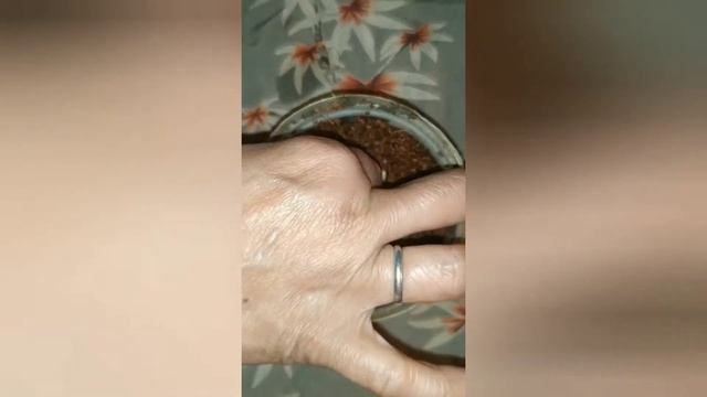 Grow Red globe grapes plant quickly and easily!!! grow grapes plant from seeds!!100% guaranteed смотреть онлайн