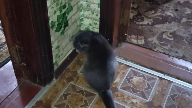 Анфиса стоит в углу наказана? смотреть онлайн