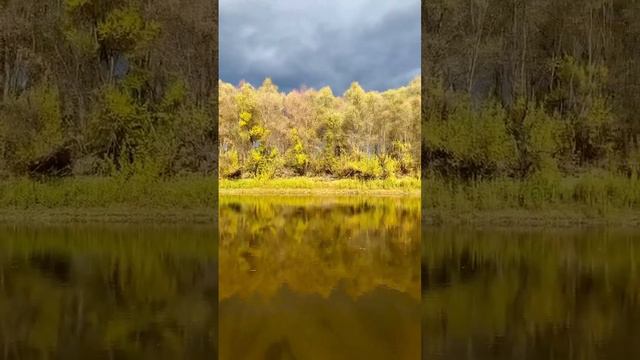 #nature #природа #summer #siberian #природасевера #forest #лес #beautiful #river #река #окунево