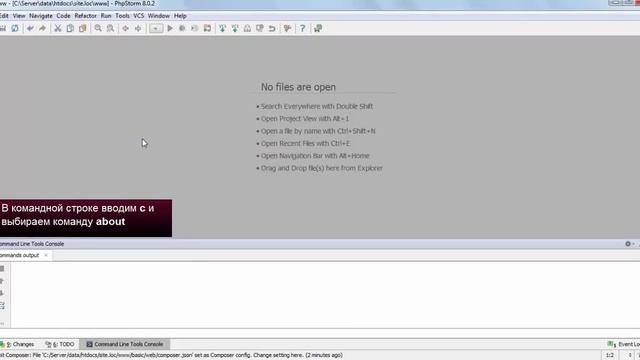 Настройка Composer в PhpStorm. phpNT