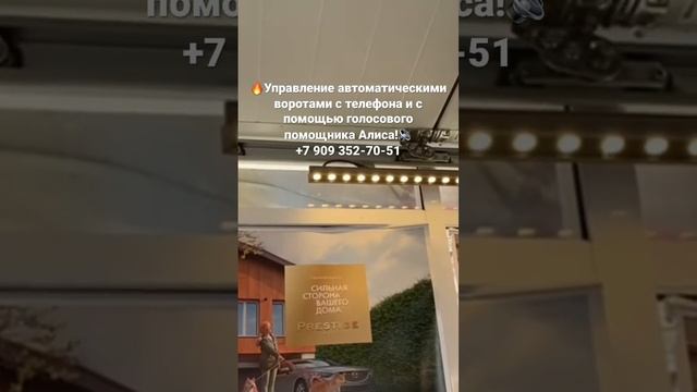 ?Управление воротами с телефона и с помощью голосового помощника Алиса!?