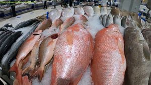 DUBAI?Рыбный рынок?Ужин на набережной?Fish Market?Dinner on the embankment?
