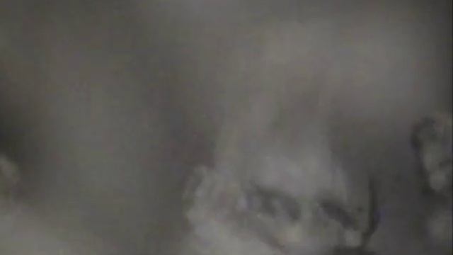 Развитие насекомых с полным и неполным превращением