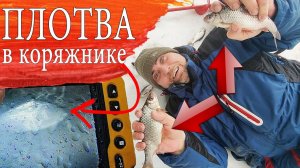 Эта КОРЯГА забита  МОРСКОЙ - ПЛОТВОЙ. Лучшая РЫБАЛКА в этом ГОДУ!