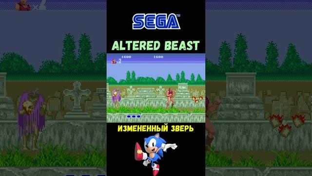 Altered Beast (Измененный Зверь) на SEGA. #shorts