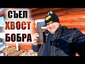 ЧТО БУДЕТ ЕСЛИ СЪЕСТЬ ХВОСТ БОБРА