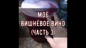 Моё вишнёвое вино - окончание (часть 3)