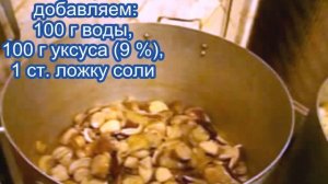 Белые грибы как мариновать, а также подосиновики, подберезовики, бабки, польские грибы