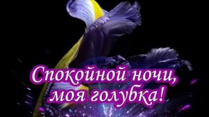 Спокойной ночи, Любимая!