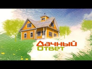 Дачный ответ - Терраса-избушка из серебристой сосны