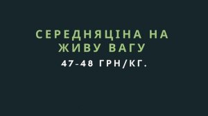 Закупівельні ціни на живих свиней 13-19 вересня