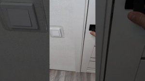 Магнитный замок или замок с язычком? Что выбрать?)