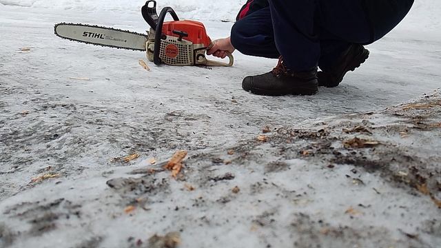 VID_20240217_115404.mp4 смотреть онлайн