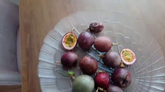 #PASIFLORA#NASIL YENILIR /TROPIK MEYVESI #ALANYA смотреть онлайн