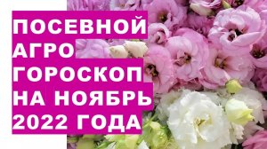 Посевной агрогороскоп на ноябрь 2022 года