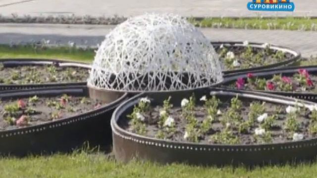 "Пришли новость" Световые цветы в Суровикино смотреть онлайн