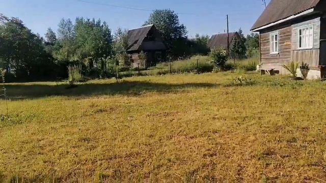 Vlog приехала на дачу/На меня напал страшный зверь/Кто жрёт клубнику? /Семья Даниловых смотреть онлайн