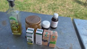 Эфирные масла и профилактика болезней пчёл