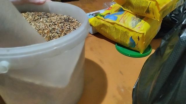 Чем кормить амадин? смотреть онлайн