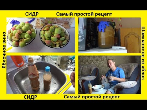 Сидр - яблочное вино_ самый простой и лёгкий рецепт из паданки