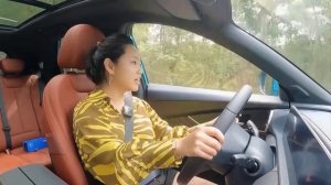 Dongfeng Fengxing T5 EVO China auto sales figures | Auto China