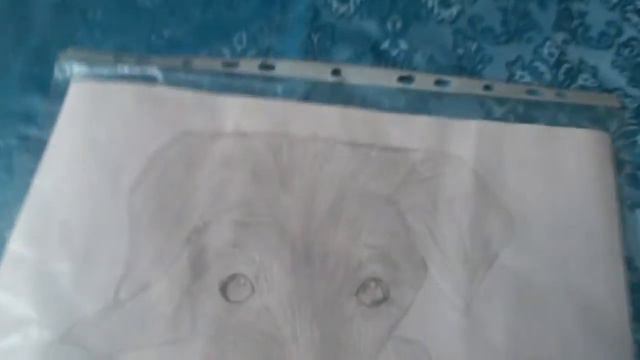 Мои рисунки 🍓 смотреть онлайн