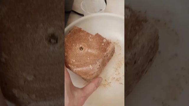 хлебопечь китфорт кт-309 обзор смотреть онлайн