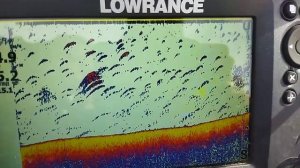 Проверка датчика Lowrance Tripleshot N°505577030 на работоспособность (дуги)