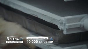 «Сонико-Чумикан». Добыча и переработка рыбы.