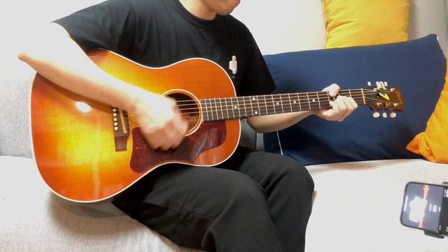 Gibson B-25 (2005 year) смотреть онлайн