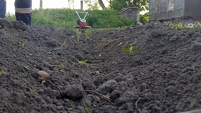 Пропольники для междурядий , ширина 40см смотреть онлайн