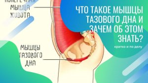 Что такое мышцы тазового дна, и зачем вам об этом знать?