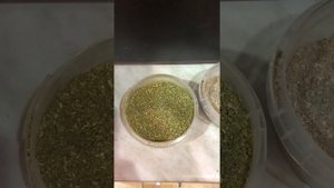 Корм для червя, составляющие пропорции и эксперименты с кормом.