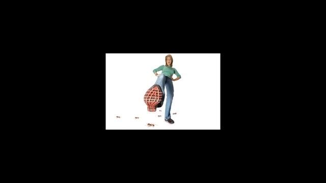 Как избавиться от домашних муравьев?