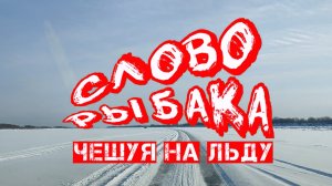 Слово Рыбака Чешуя на льду.