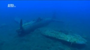 Удивительная природа.Океания